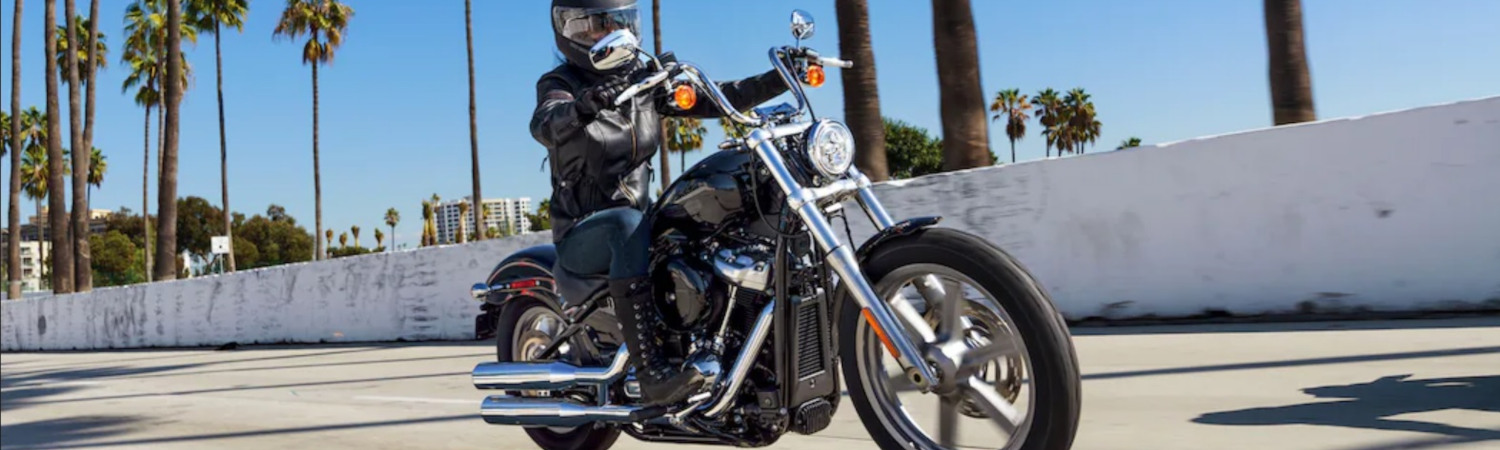 2023 Harley-Davidson Softail® Standard for sale in Loess Hills Harley-Davidson®, Pacific Junction, Iowa